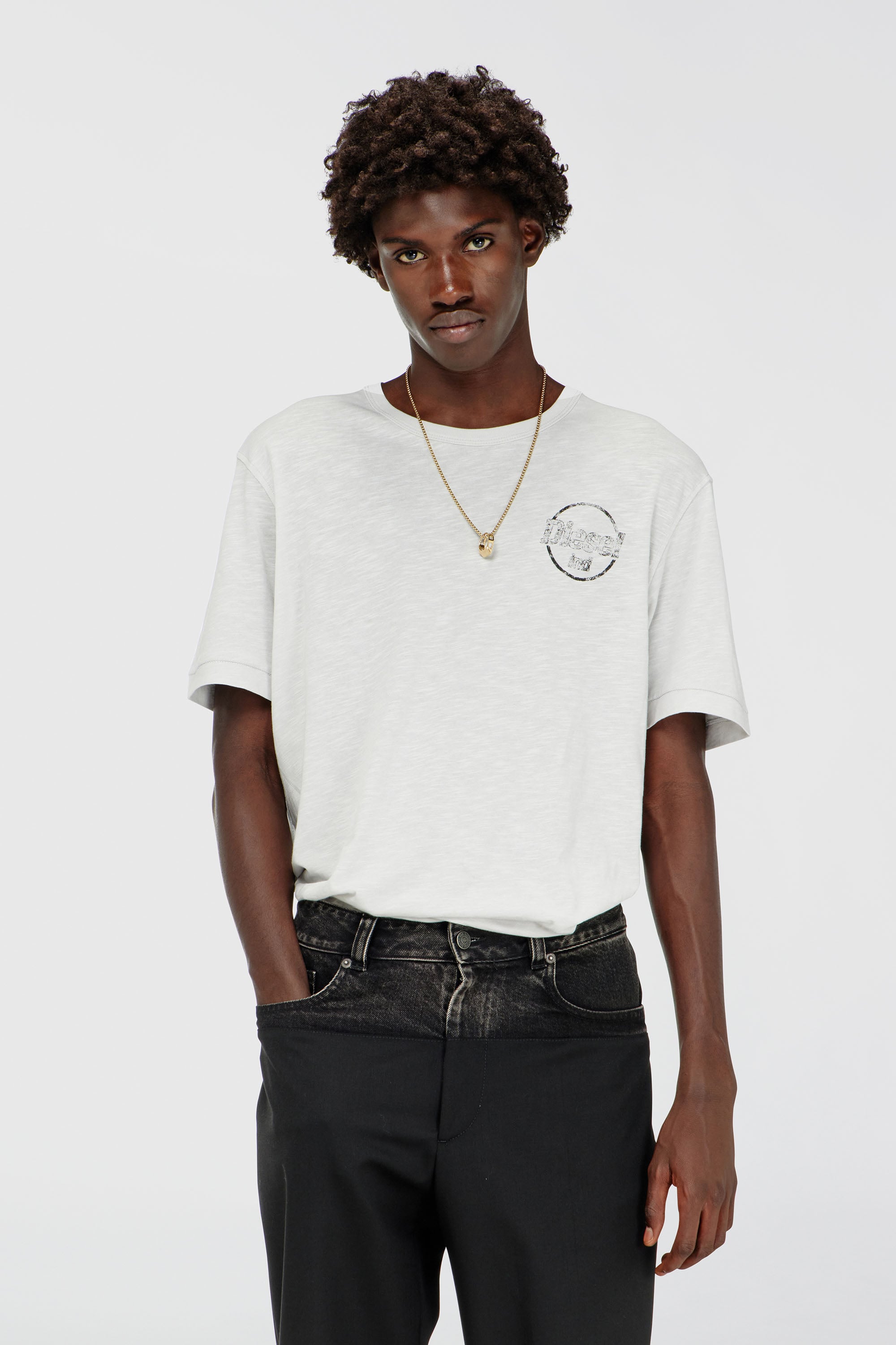 Diesel - T-ADJUST-B11, Man's T-shirt in slub jersey with crack print in null - 1