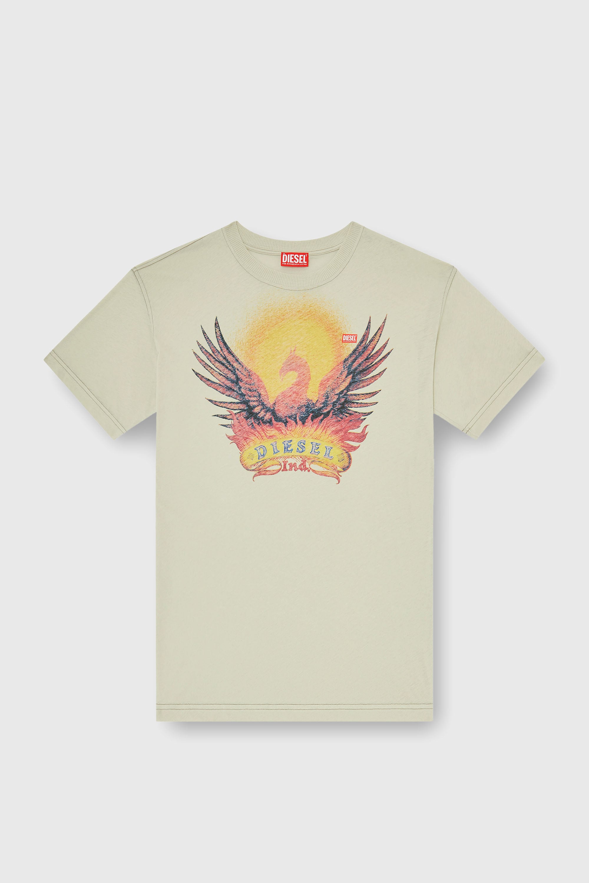 Diesel - T-NORM-AA1, Man's Regular T-shirt with Phoenix print in Beige - 2