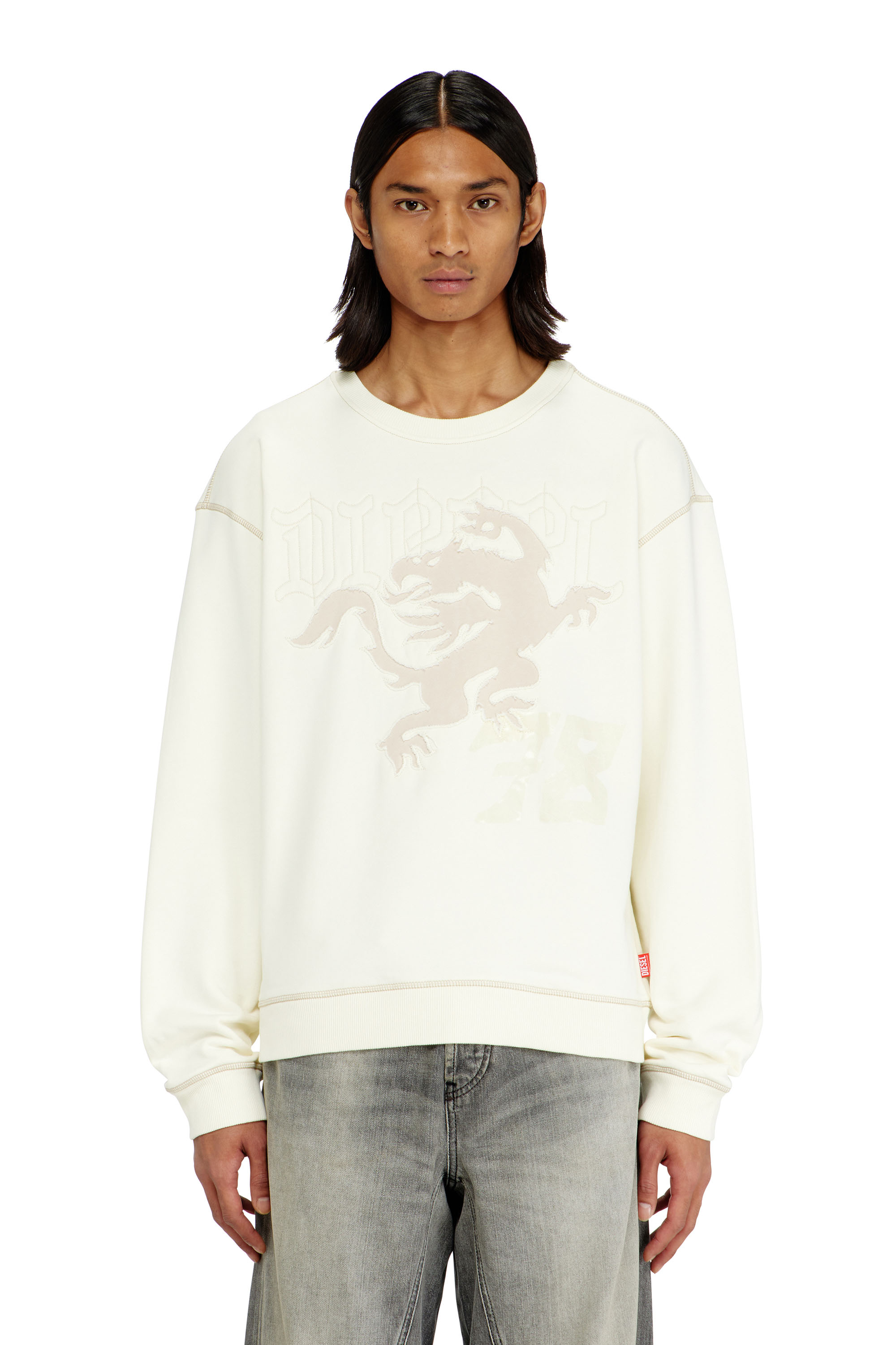 Diesel - S-NORM-AA3, Man's Sweatshirt with embroidery and print in null - 3