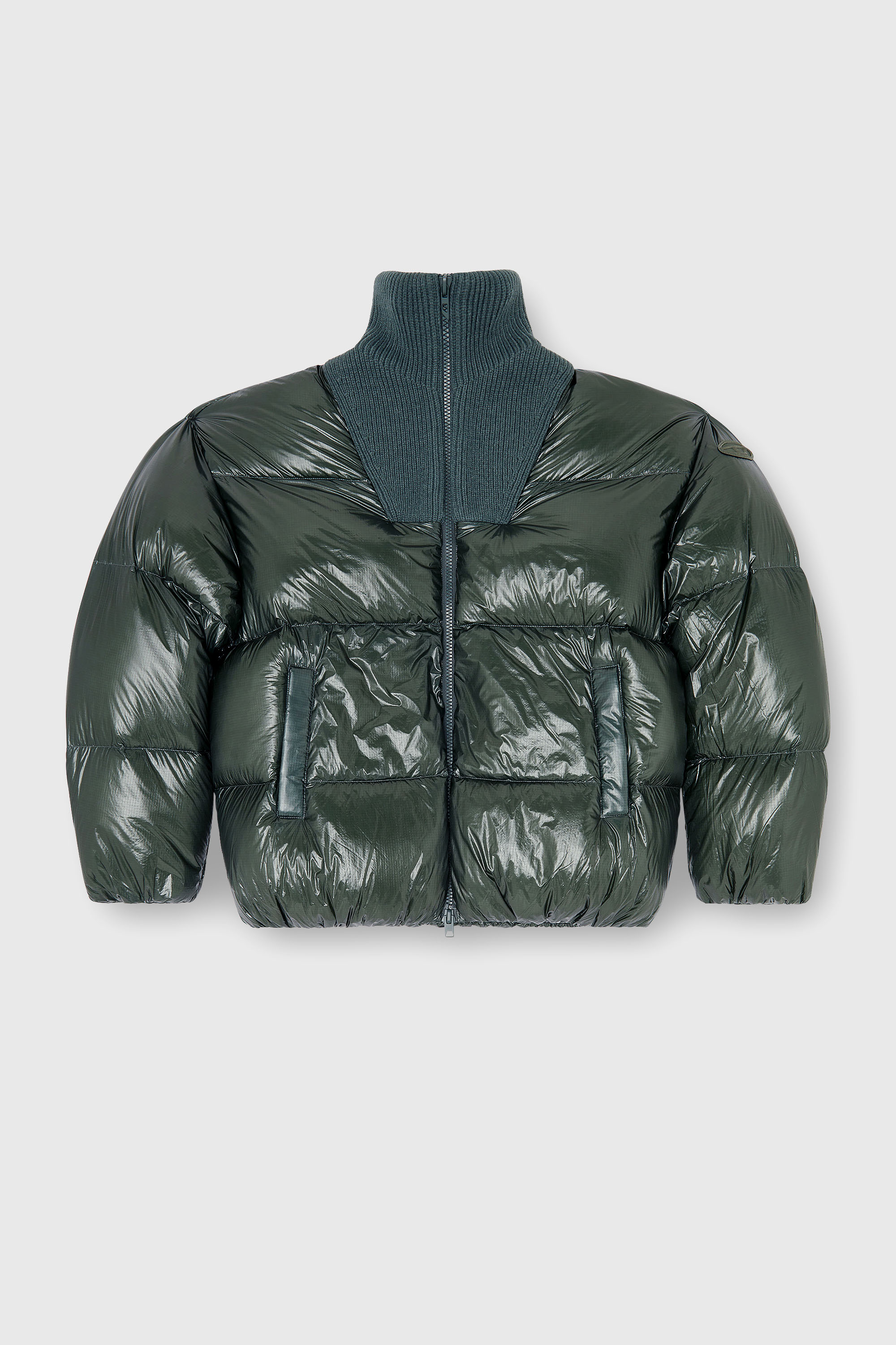 Diesel - W-RIBB, Man's Down puffer jacket in ripstop with ribbed collar in Dark Green - 2