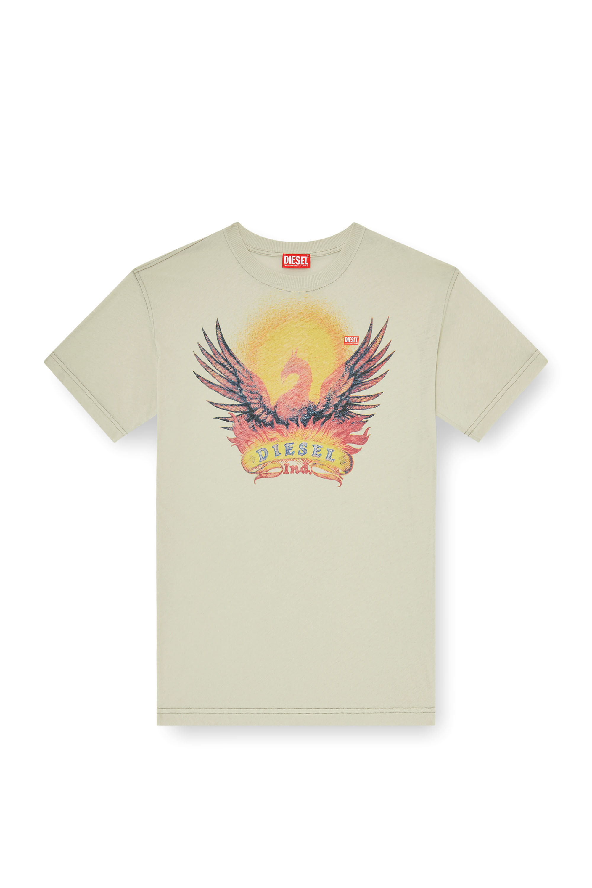 Diesel - T-NORM-AA1, Man's Regular T-shirt with Phoenix print in null - 3