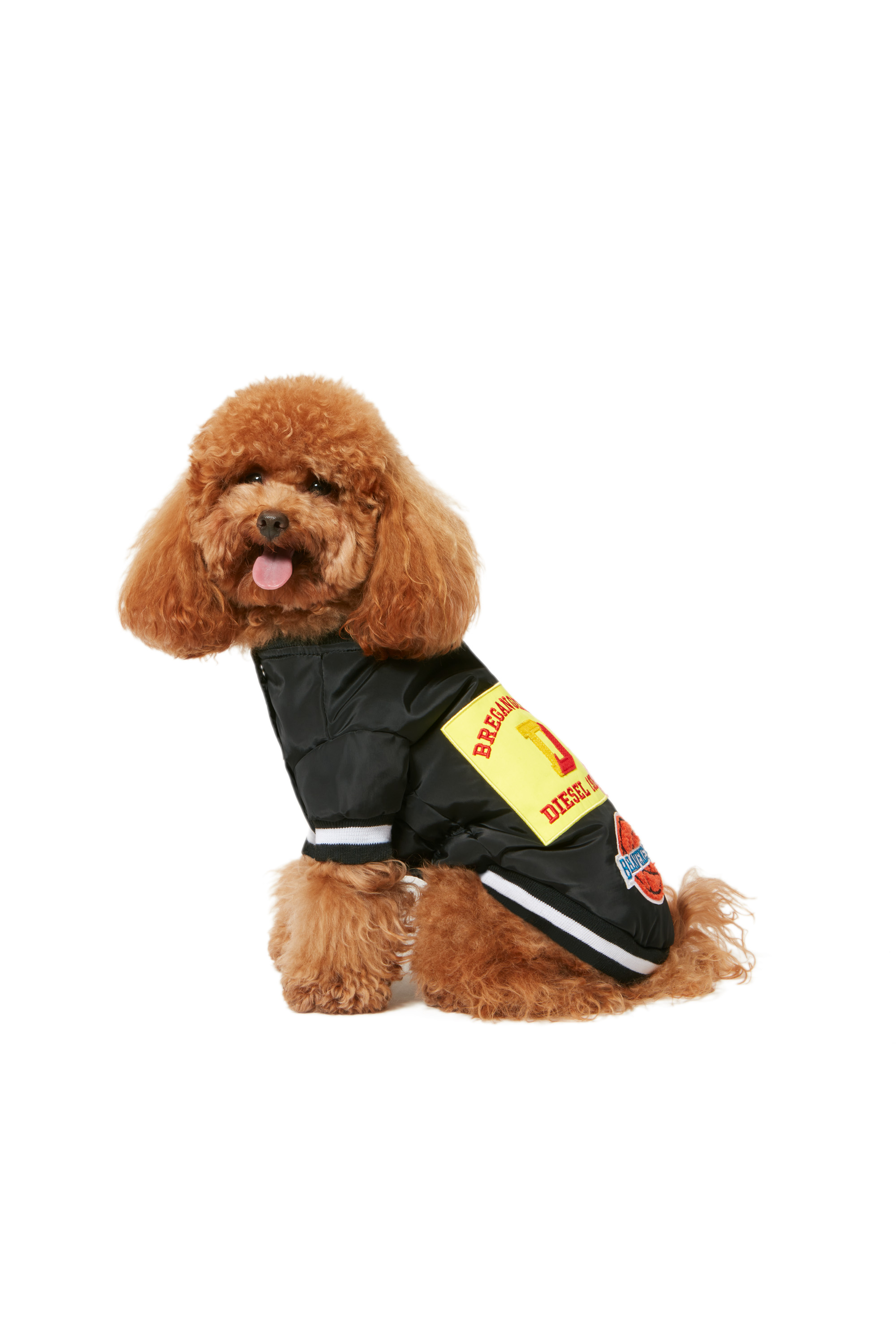 Diesel - PET-CHWORK, Black - Image 5